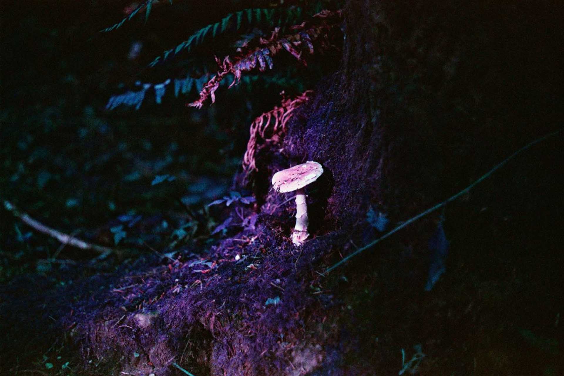 the art of balancing light
